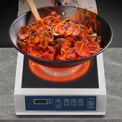 High Power Induction Cooktop 110v 1800w Countertop Burner With Temp Power Panel